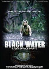 在线观看黑水,一场关于真相与阴谋的在线观影之旅  第2张
